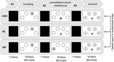 Decreased Efficiency of Between-Network Dynamics During Early Memory Consolidation With Aging